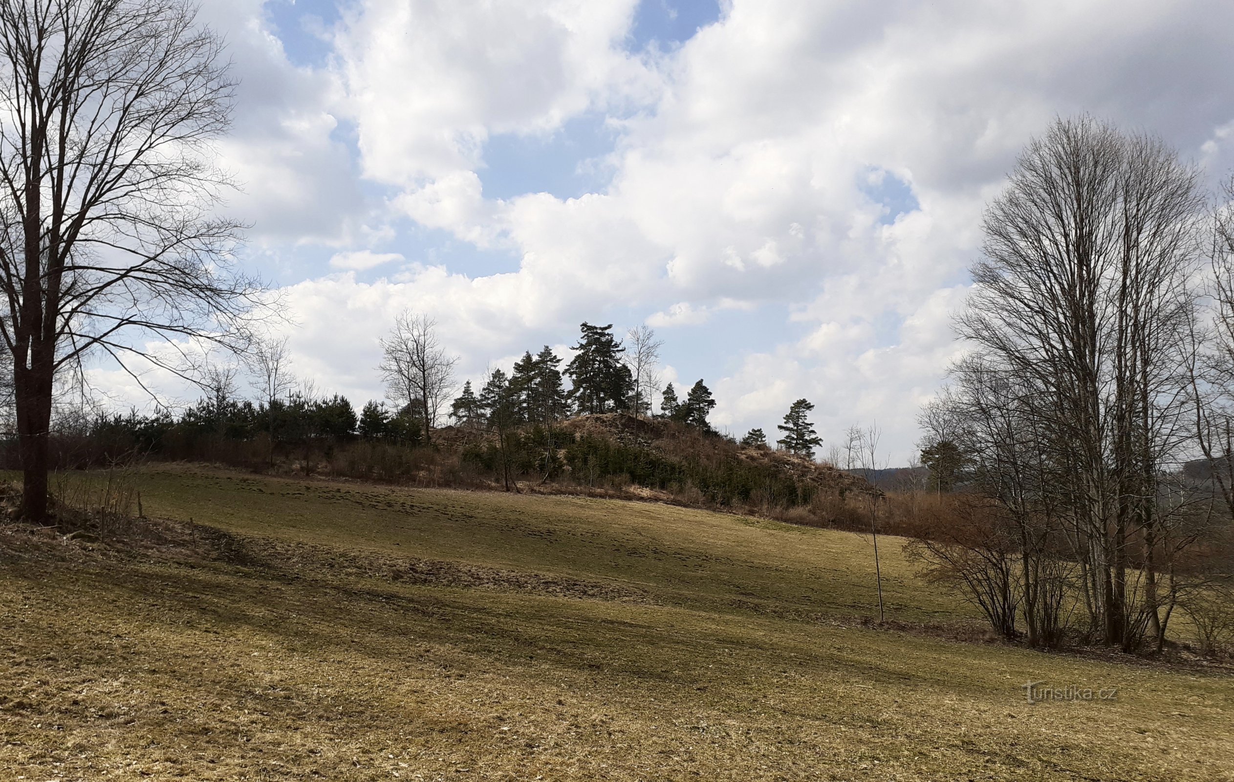 Cimperk uit het noordoosten