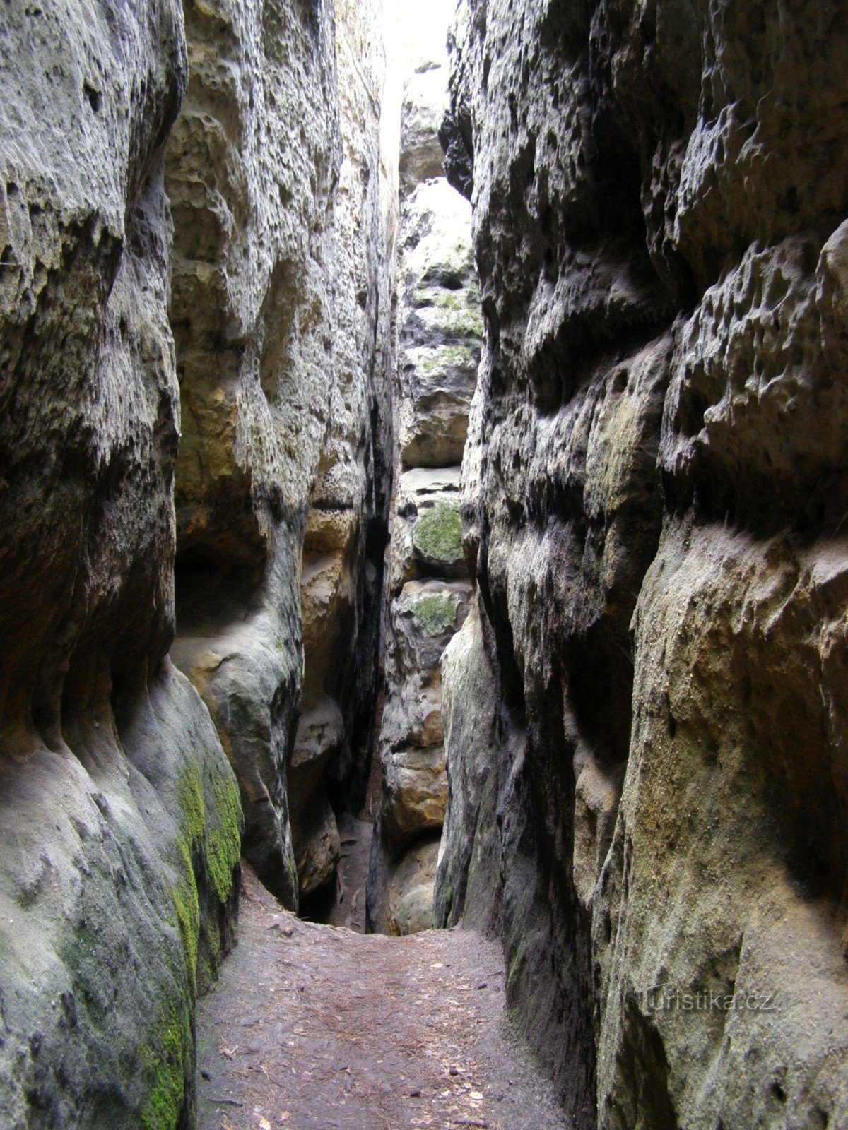 Cinibulkova NS - Labyrinthe