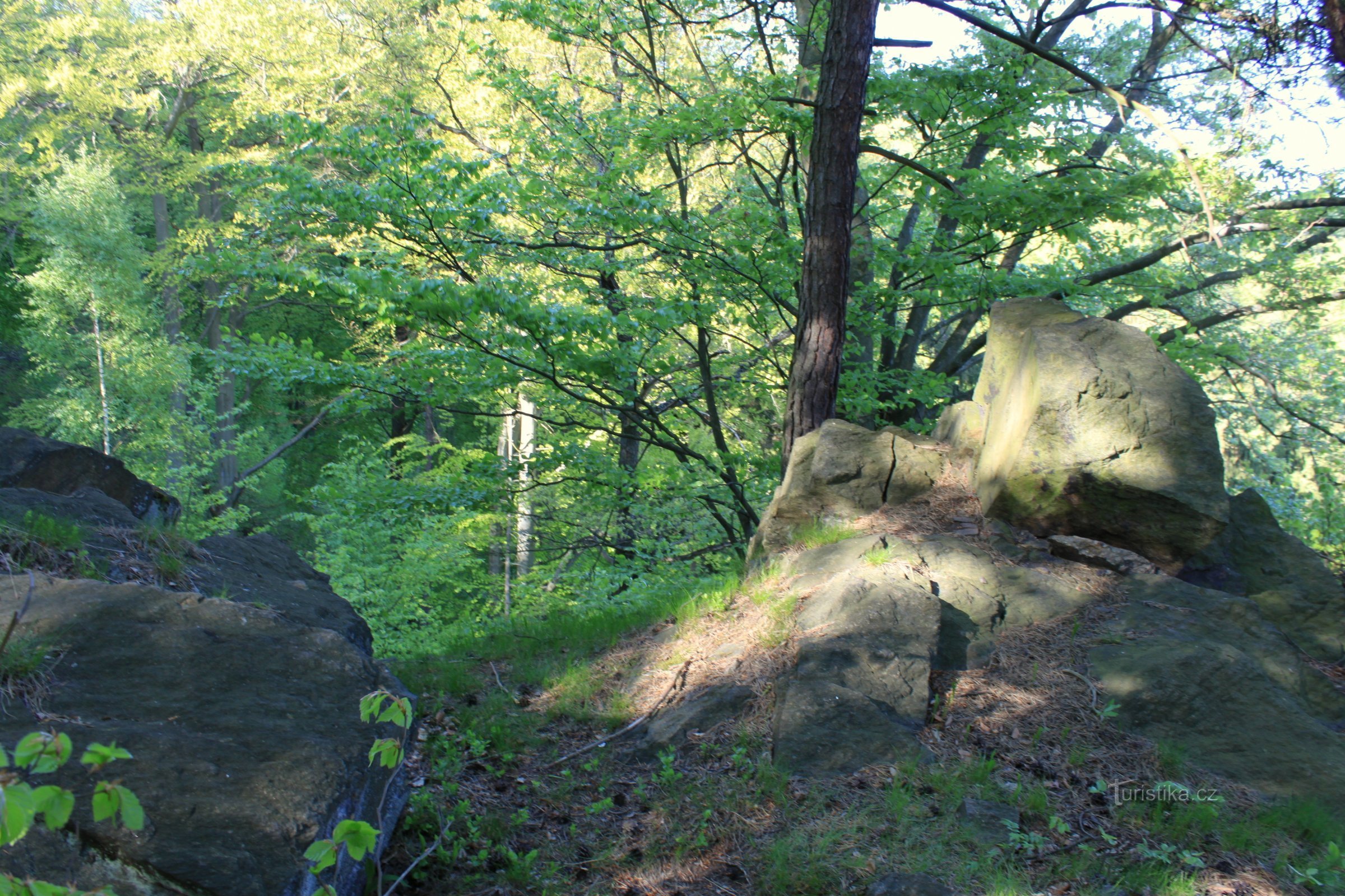 Miniera di stagno