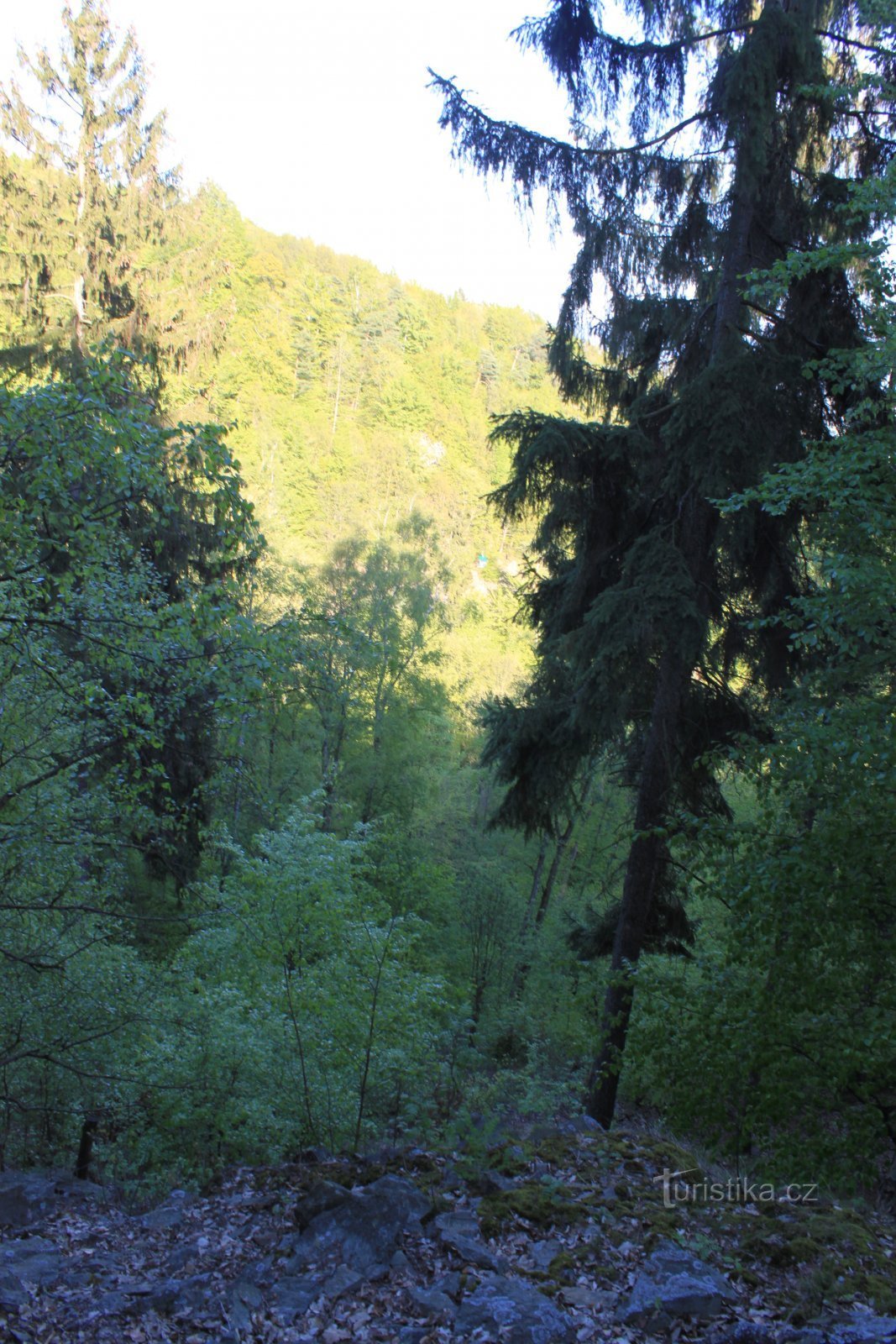 Miniera di stagno