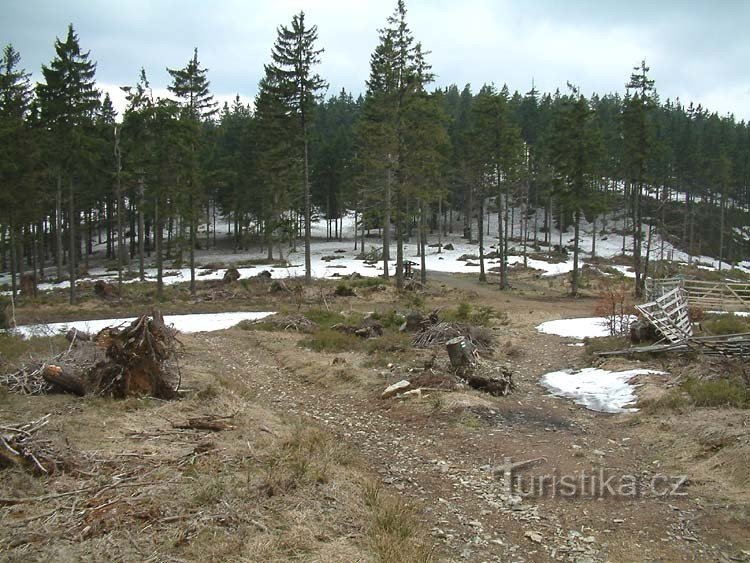 Імператорський сарай