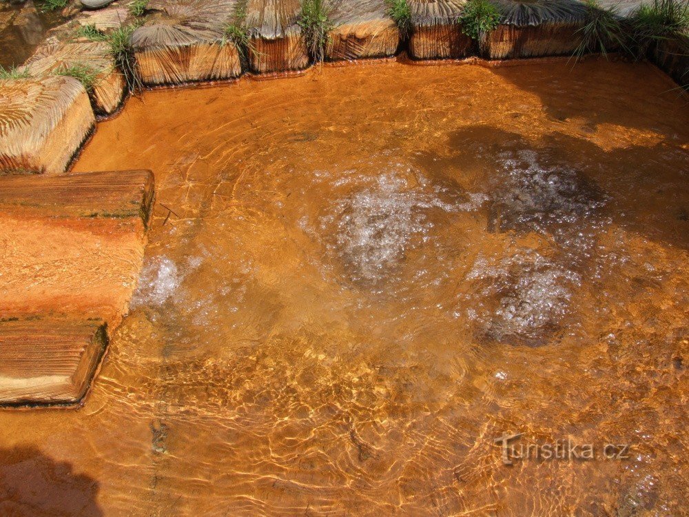 Imperial spring in the SOOS reserve