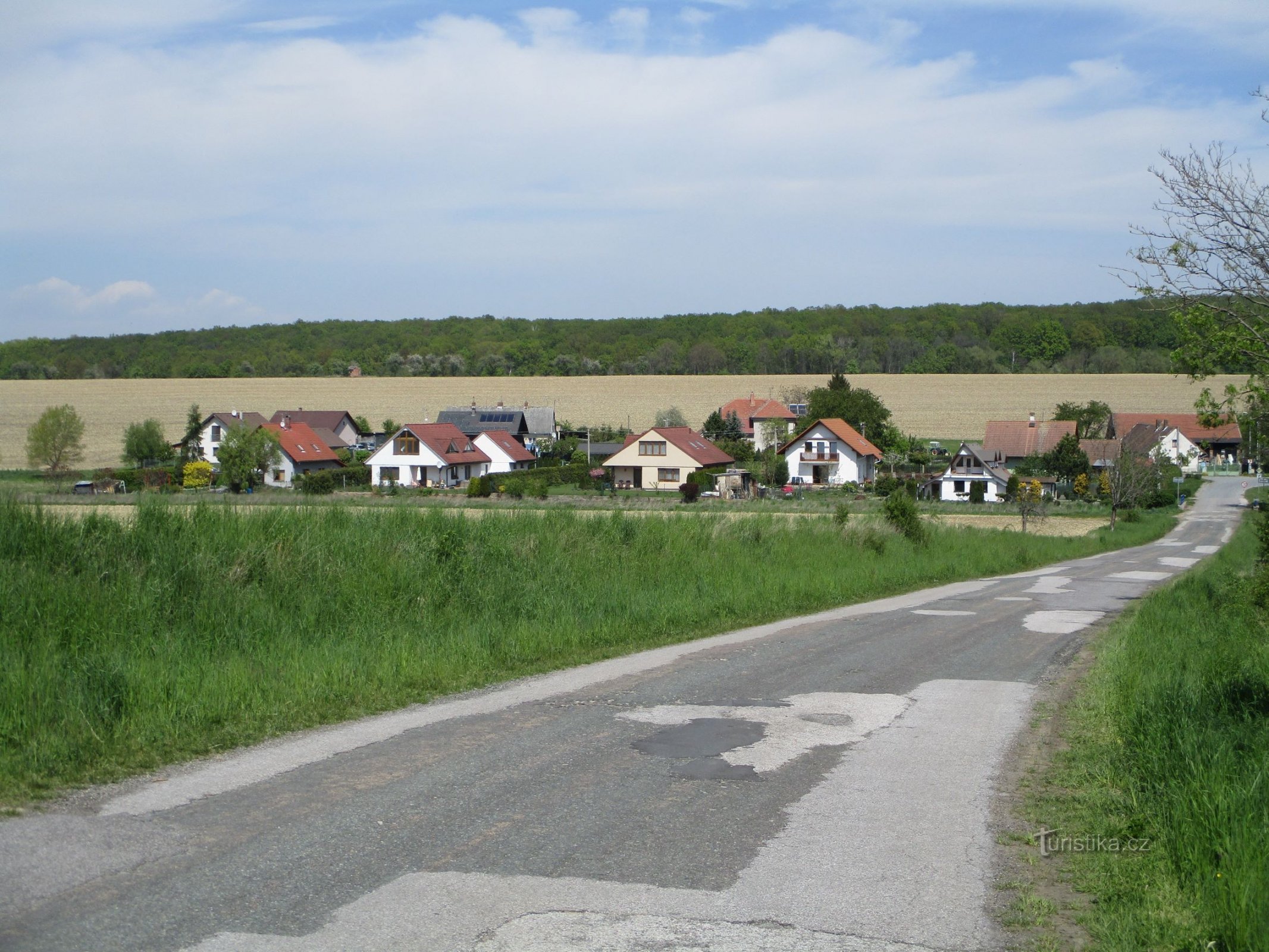 Čisteves s ceste iz Horní Dohalice (8.5.2020.)