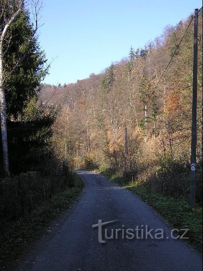 Čížovice: Hadinca felé vezető út