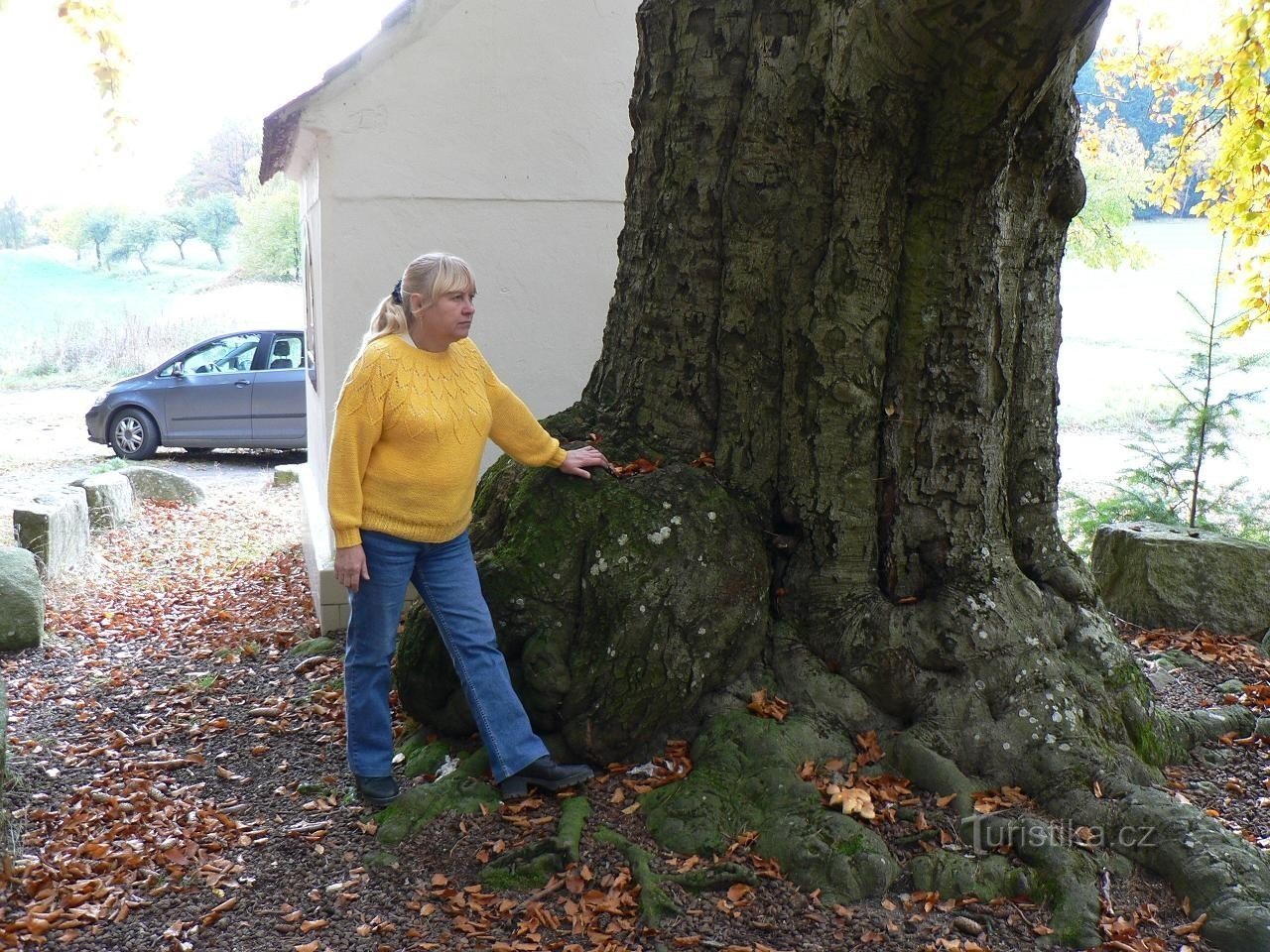 Man and tree