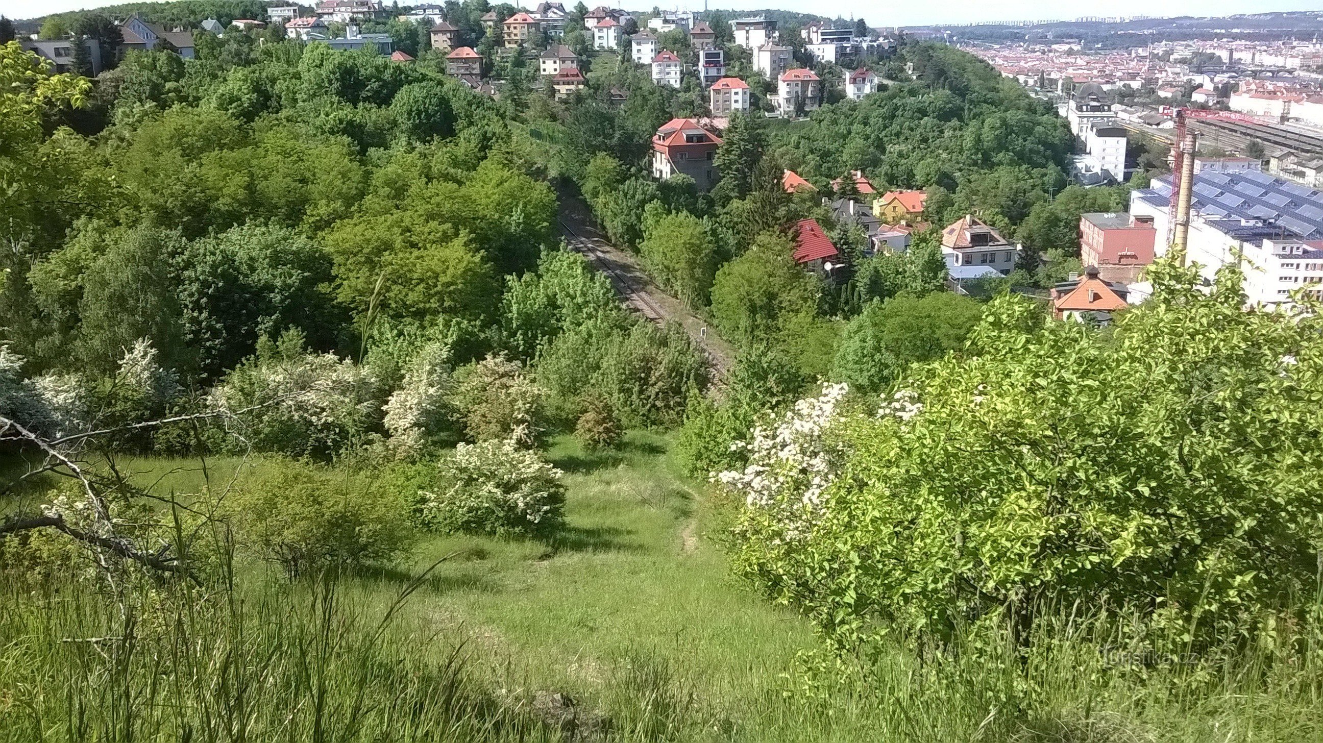 Spoštovana