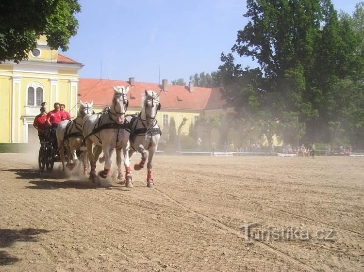 Quattro ruote motrici