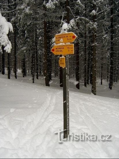 Cycling signpost