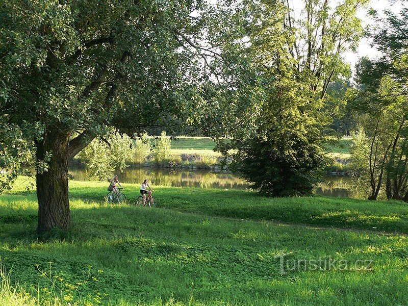 Vrouwelijke fietsers op fietsen rond de rivier de Ostravice