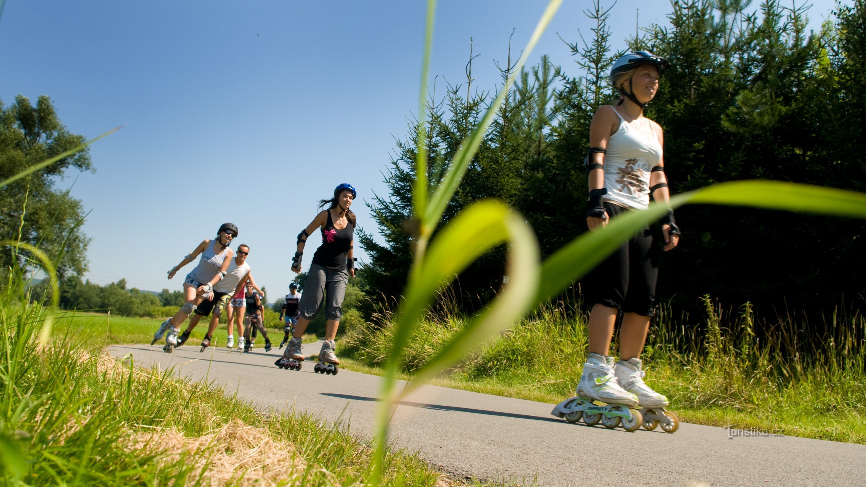 Pedala nel regno in linea