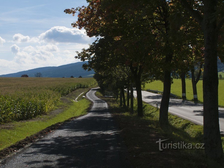 Carril bici Červená Voda - Králíky