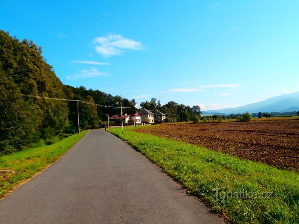 cycle path to Velké Losiny