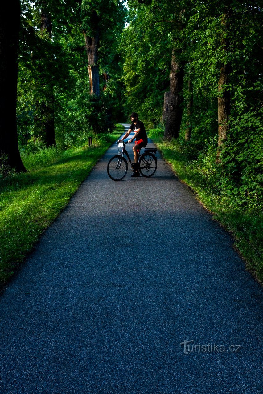 ciclovia Hluboká