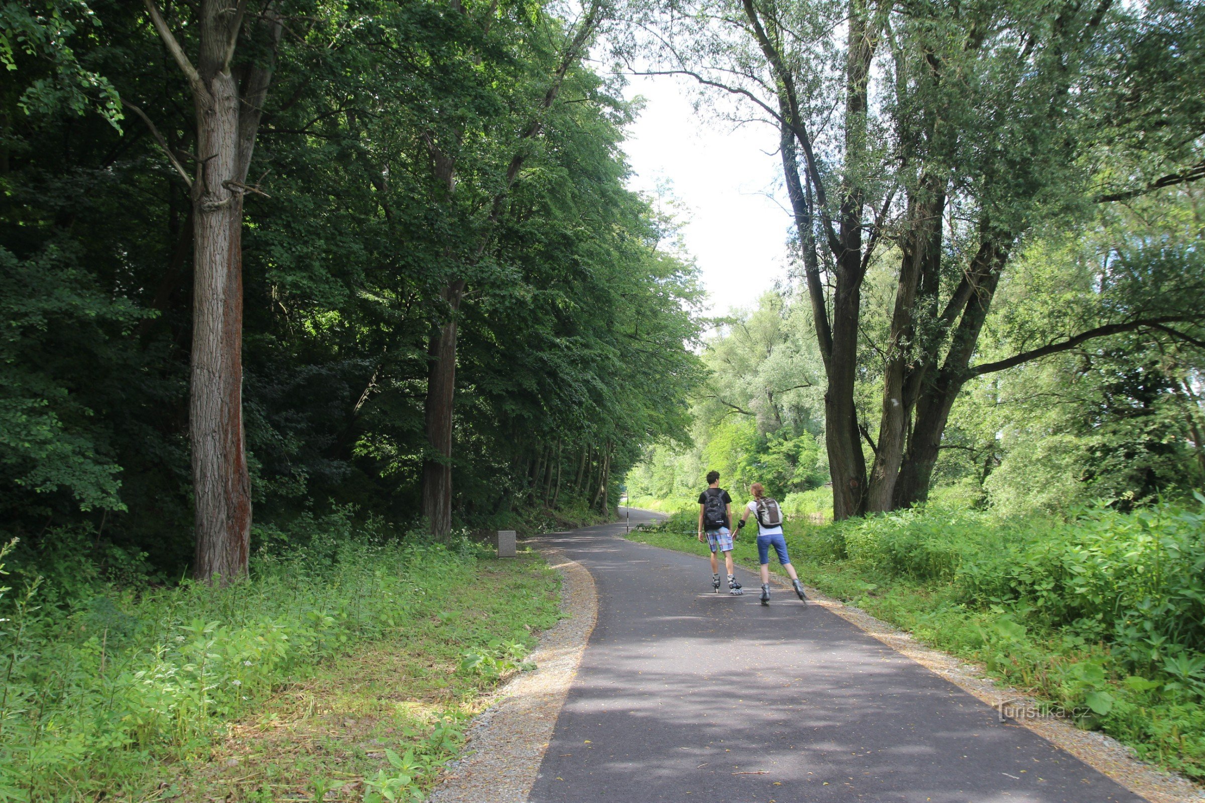 El carril bici también es apto para patinadores.