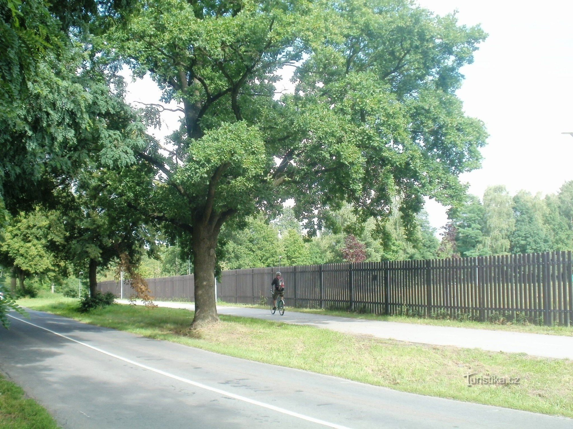 pistă de biciclete în jurul iazului de argint