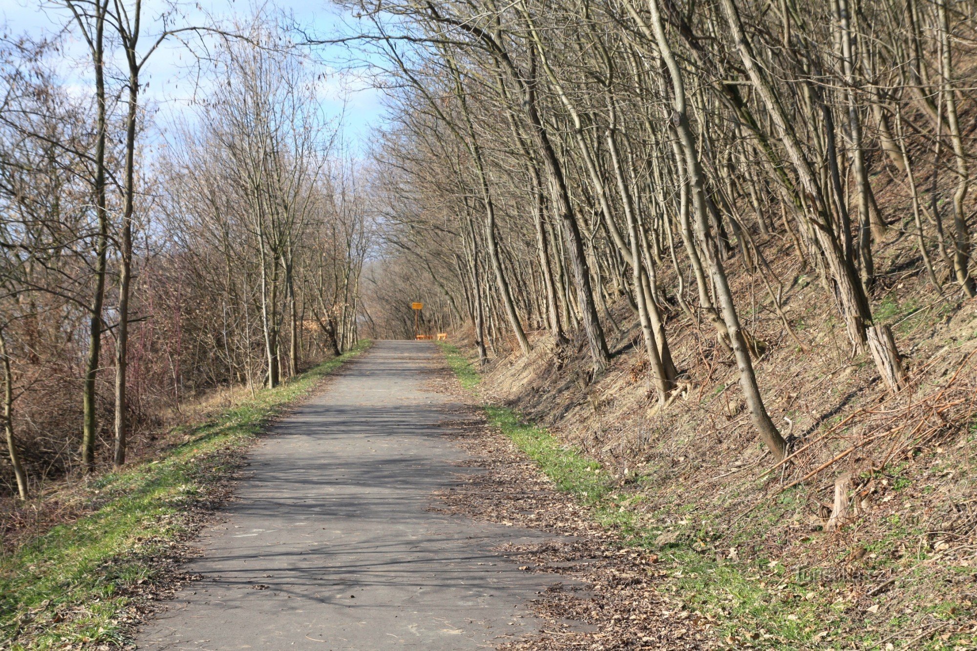 Carril bici al catastro de Strachotín a lo largo del embalse de Věstonické