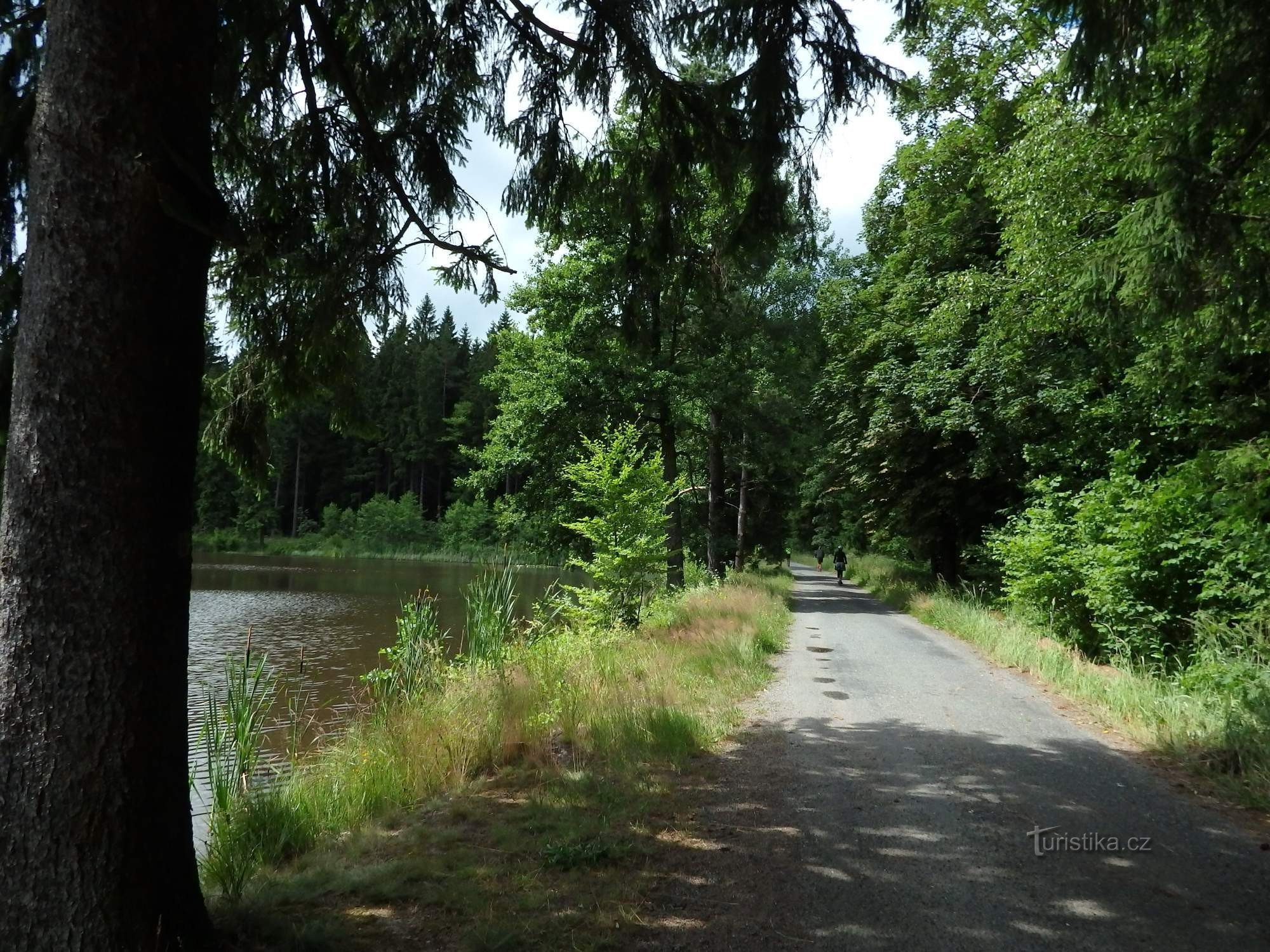 Přibyslav - Pista ciclabile Sázava