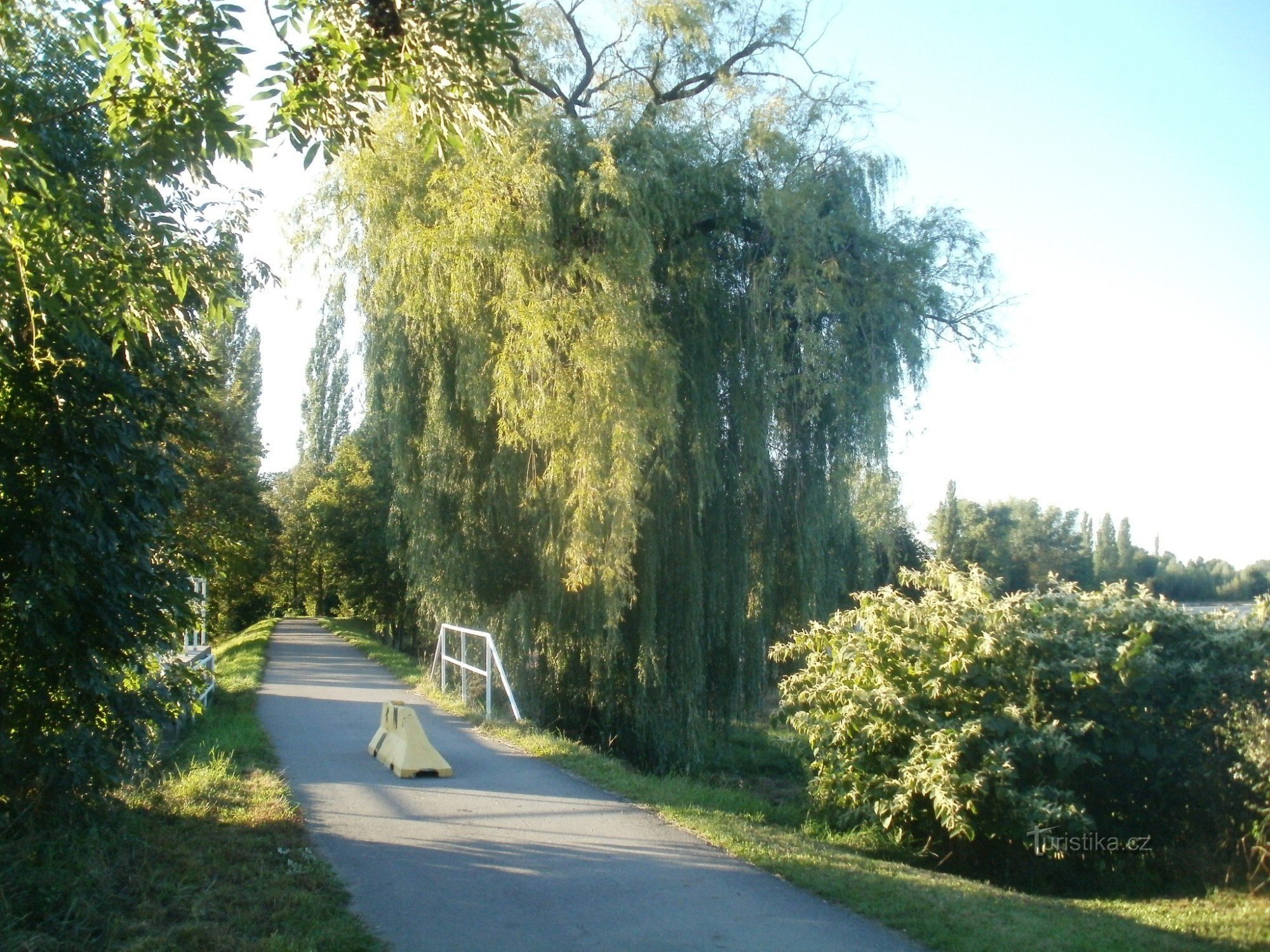 Pista ciclabile Třebeš - ospedale universitario