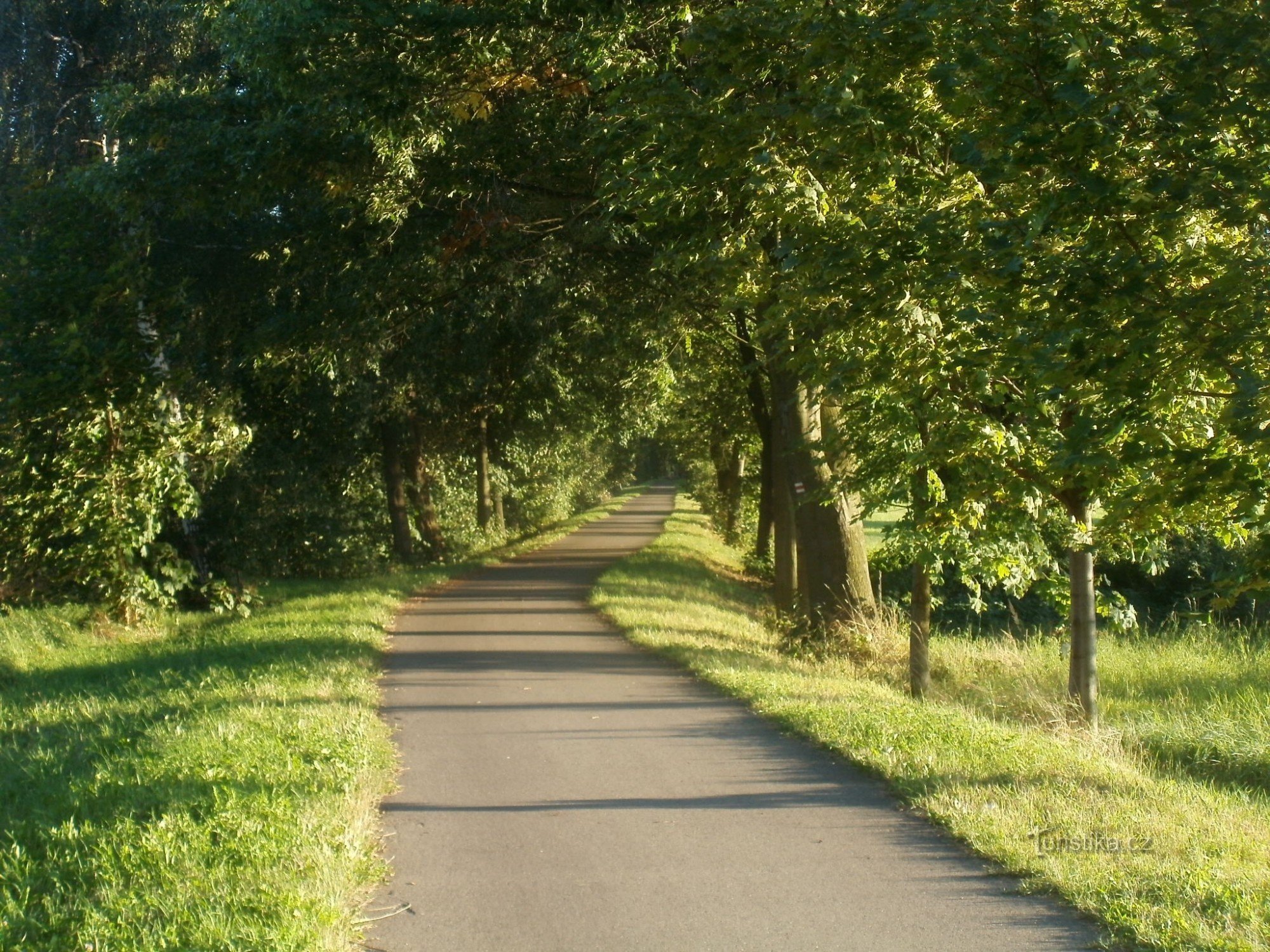 Cycling path Třebeš - faculty hospital