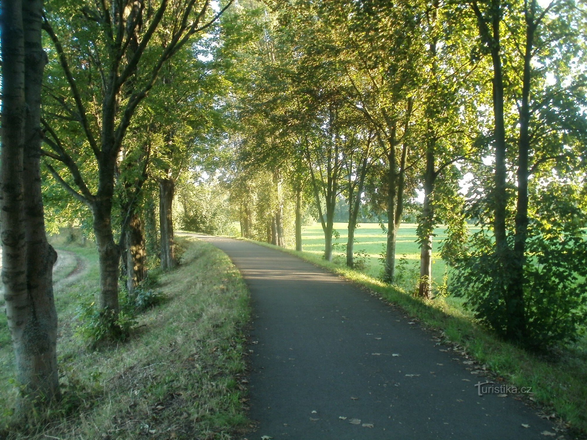 Carril bici Třebeš - hospital de la facultad