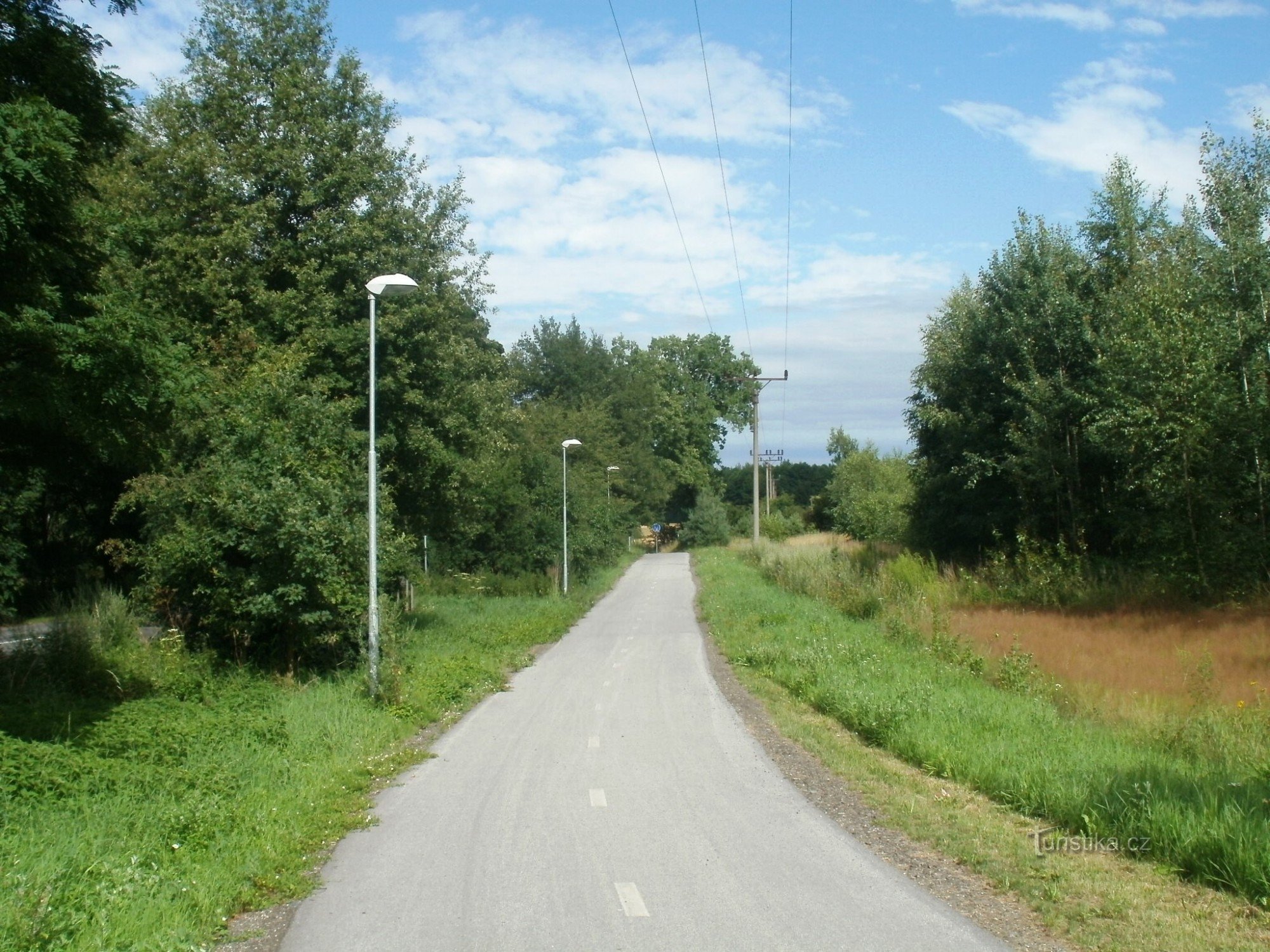Ścieżka rowerowa przy srebrnym stawie