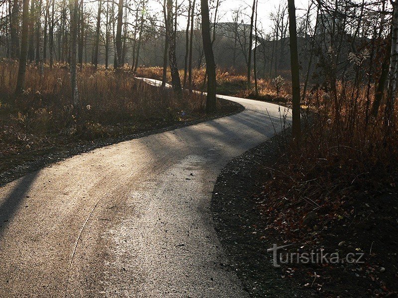 Cykelsti Vratimov - Paskov. Esíčko til floden Ostravici.