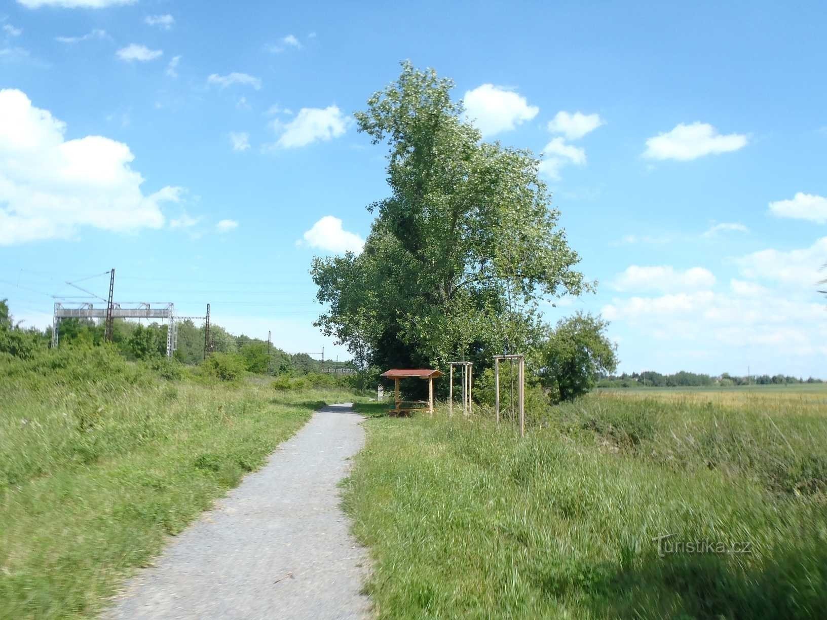 Běchovice から Újezd nad Lesy への自転車道 - 15.6.2012