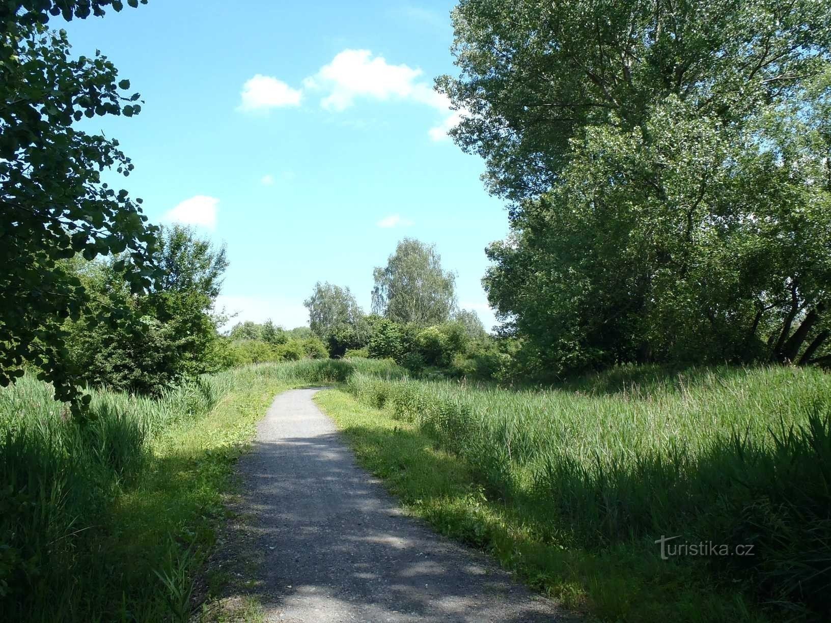 Cykelsti fra Běchovice til Újezd ​​​​nad Lesy - 15.6.2012