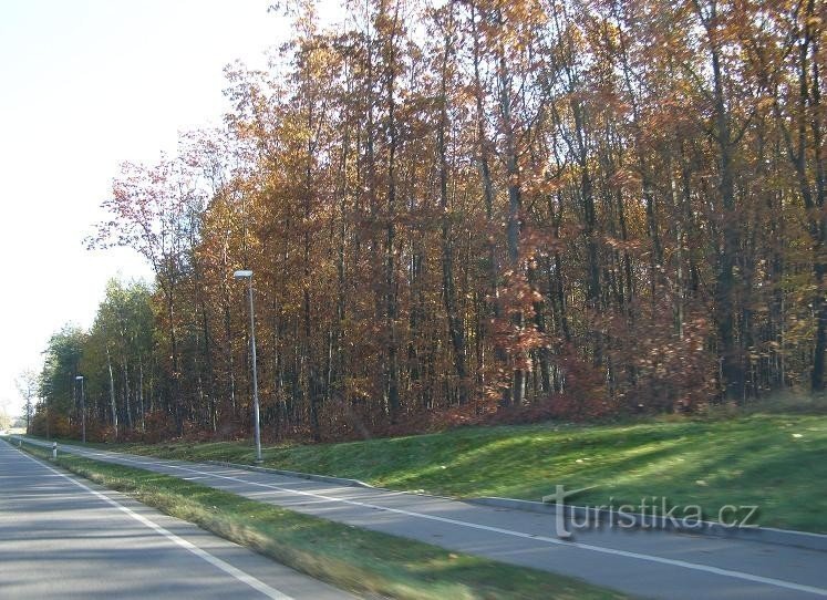 Đường đi xe đạp Živanice - Spa Bohdaneč