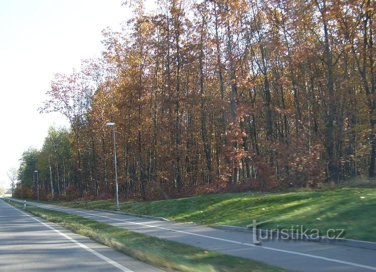 Pista de biciclete Živanice - Spa Bohdaneč