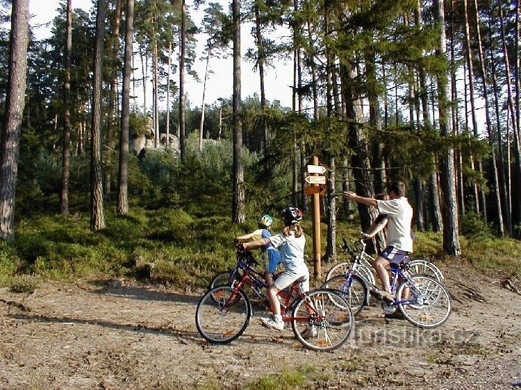 Велосипедные дорожки в Туловцове Машталы
