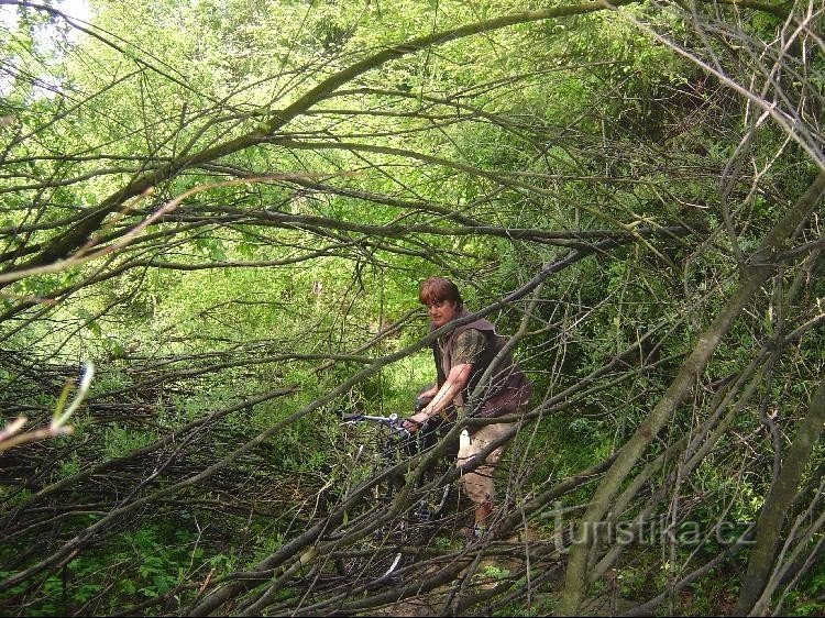 kolesarska pot nad izvirom Megovka 2006