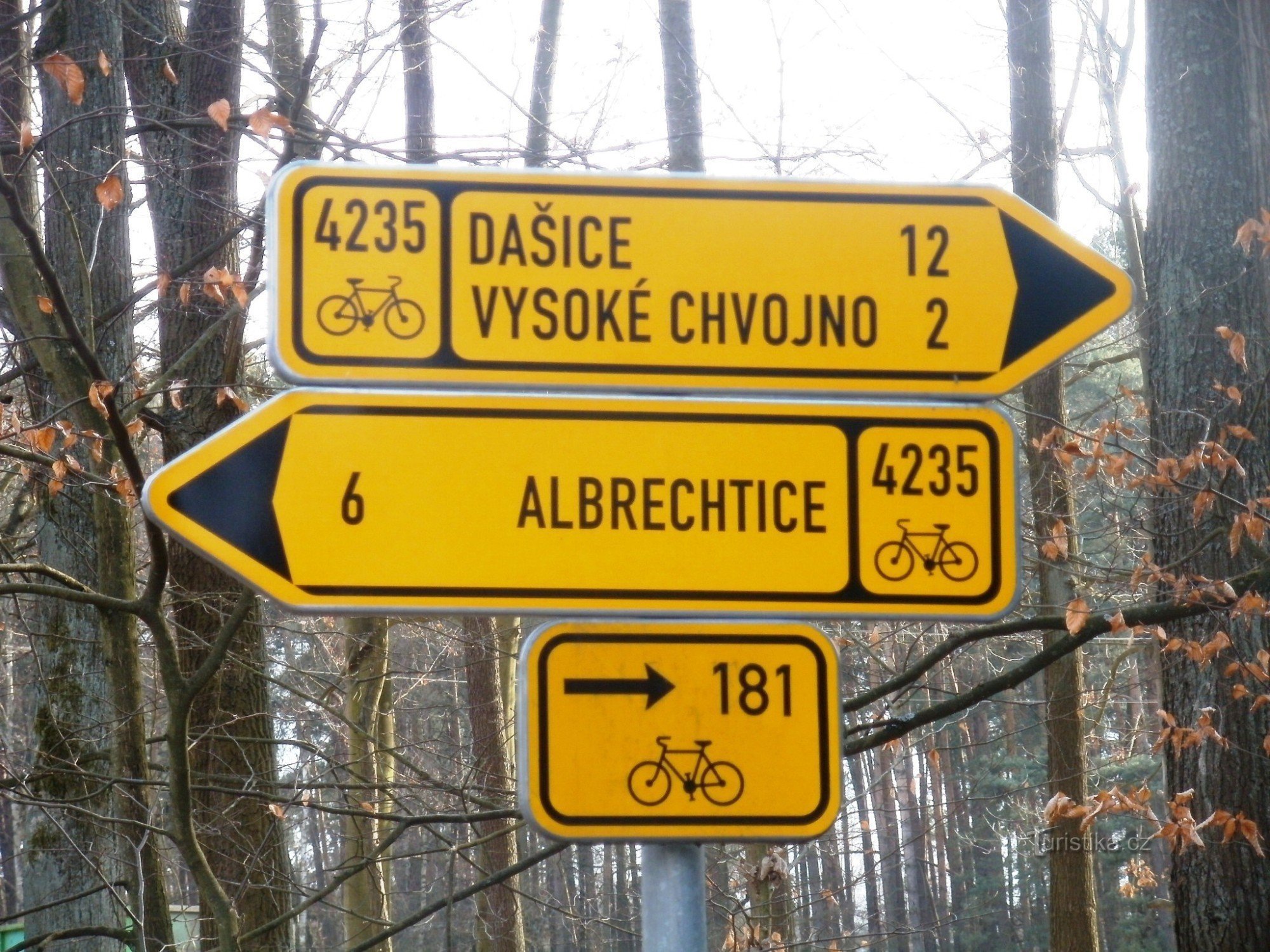 skrzyżowanie szlaków rowerowo-turystycznych - rezerwat zwierzyny w pobliżu Vysoké Chvojno