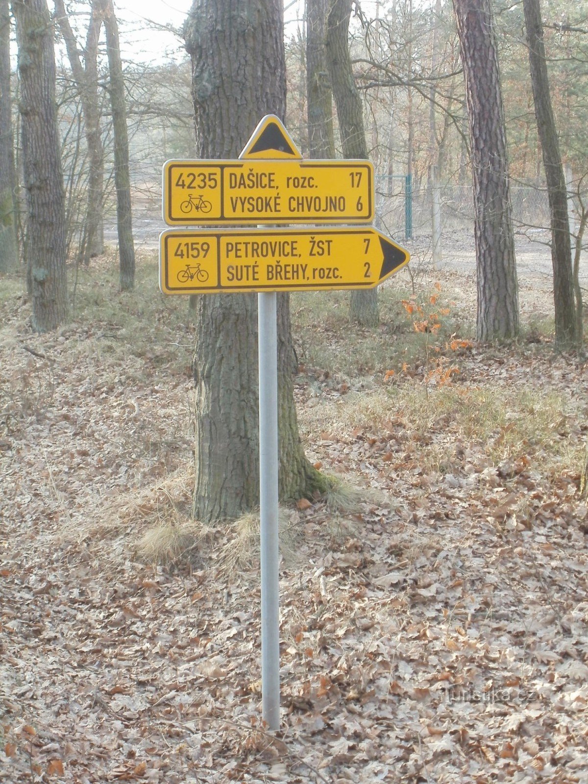 intersecție pentru ciclism lângă Albrechtice nad Orlicí