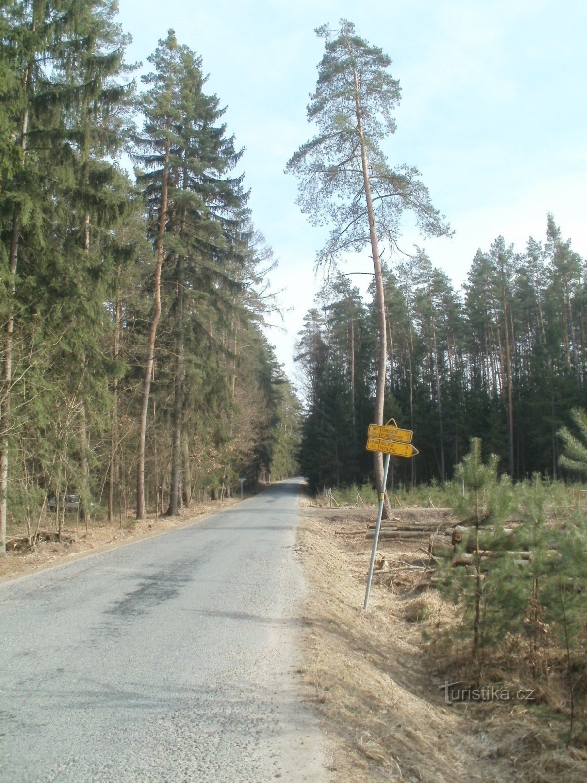 cykelkryds ved parken nær Vysoké Chvojno