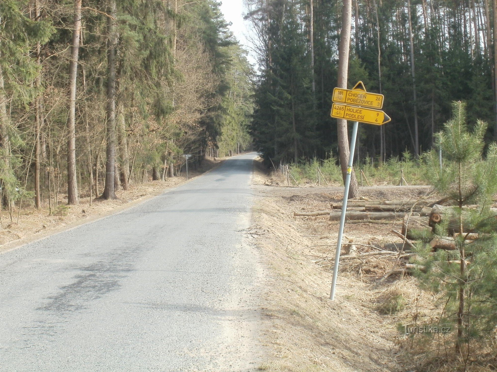 węzeł rowerowy w parku niedaleko Vysoké Chvojno