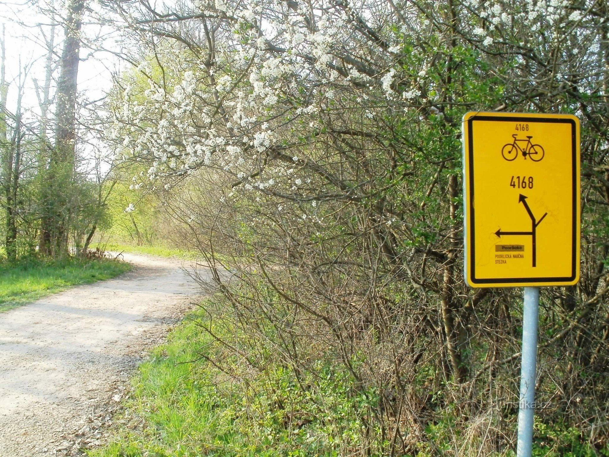 自行车旅游十字路口 - 在 Štěnkovský 桥