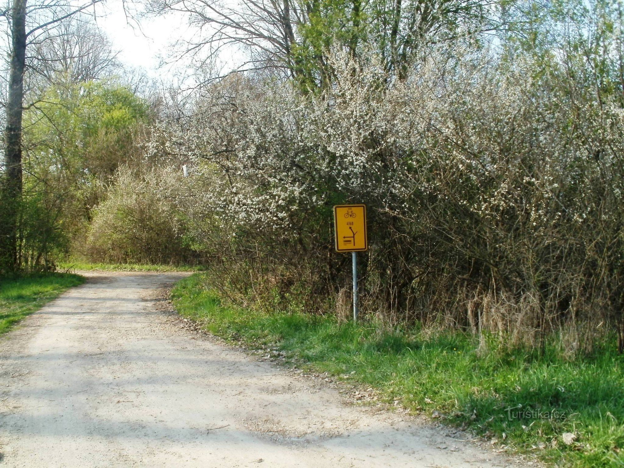 自行车旅游十字路口 - 在 Štěnkovský 桥