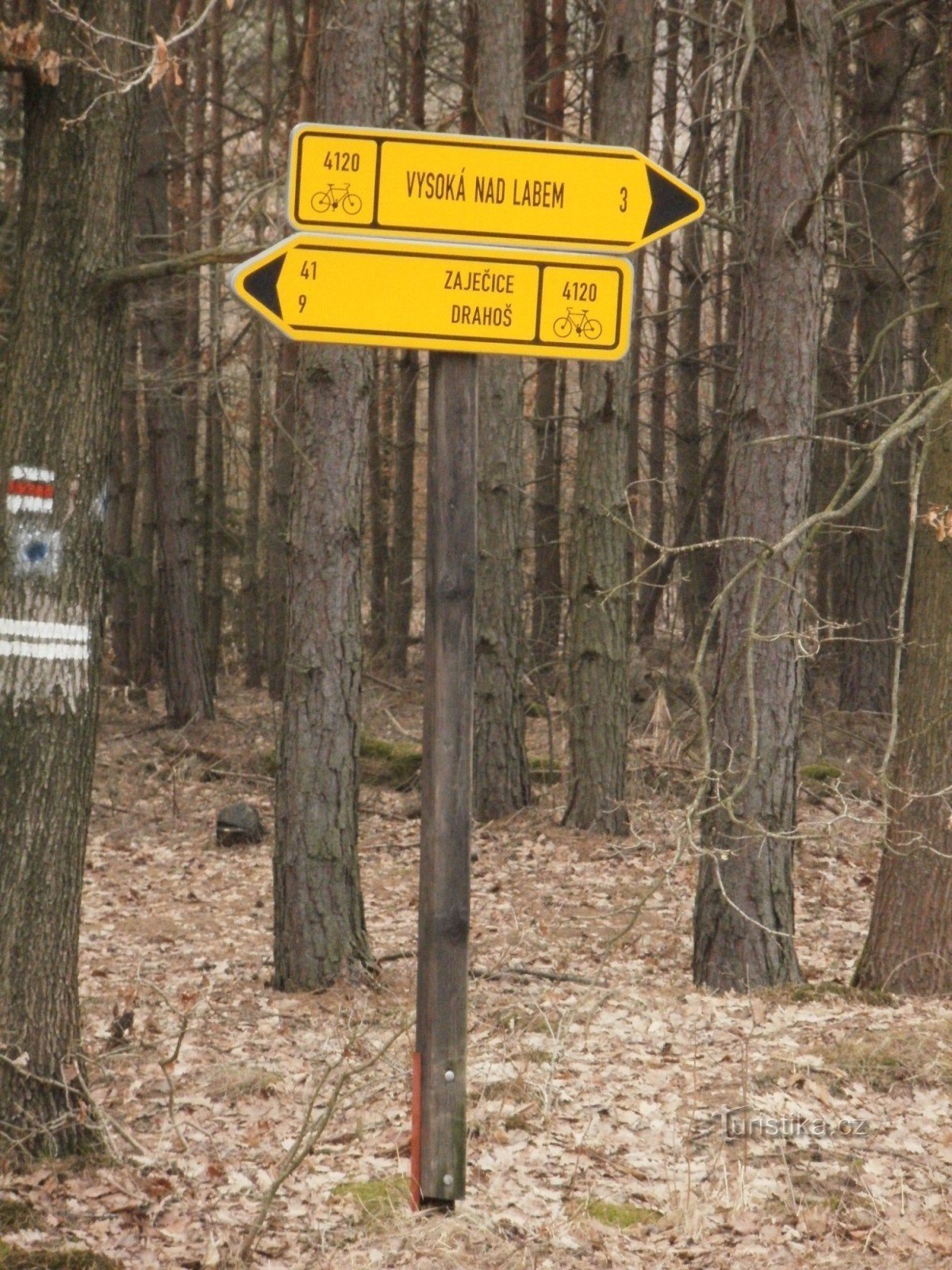 carrefour cyclable dans la forêt de Vysoké nad Labem