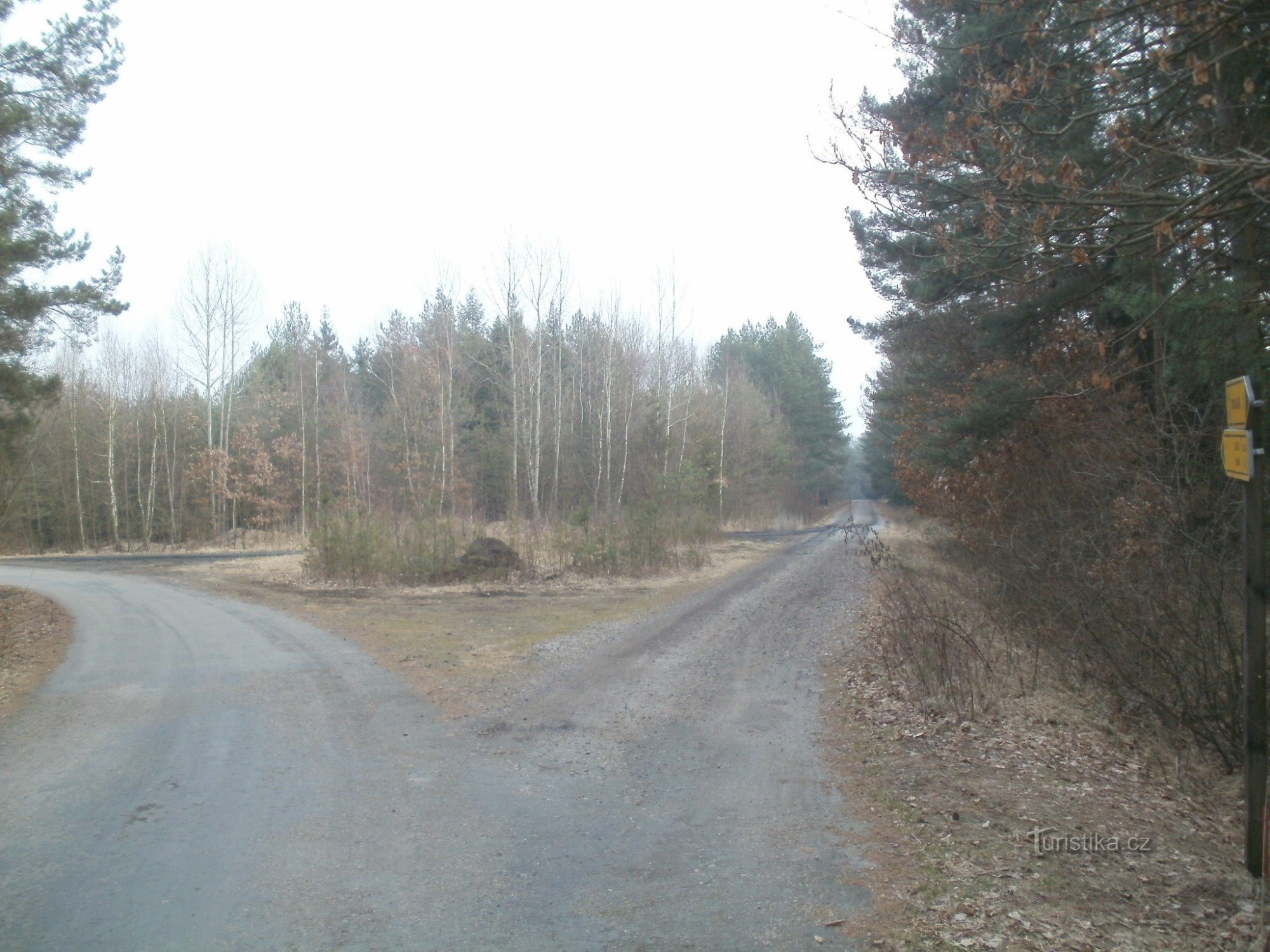 răscruce de drumuri cu bicicleta în pădurea Vysoké nad Labem