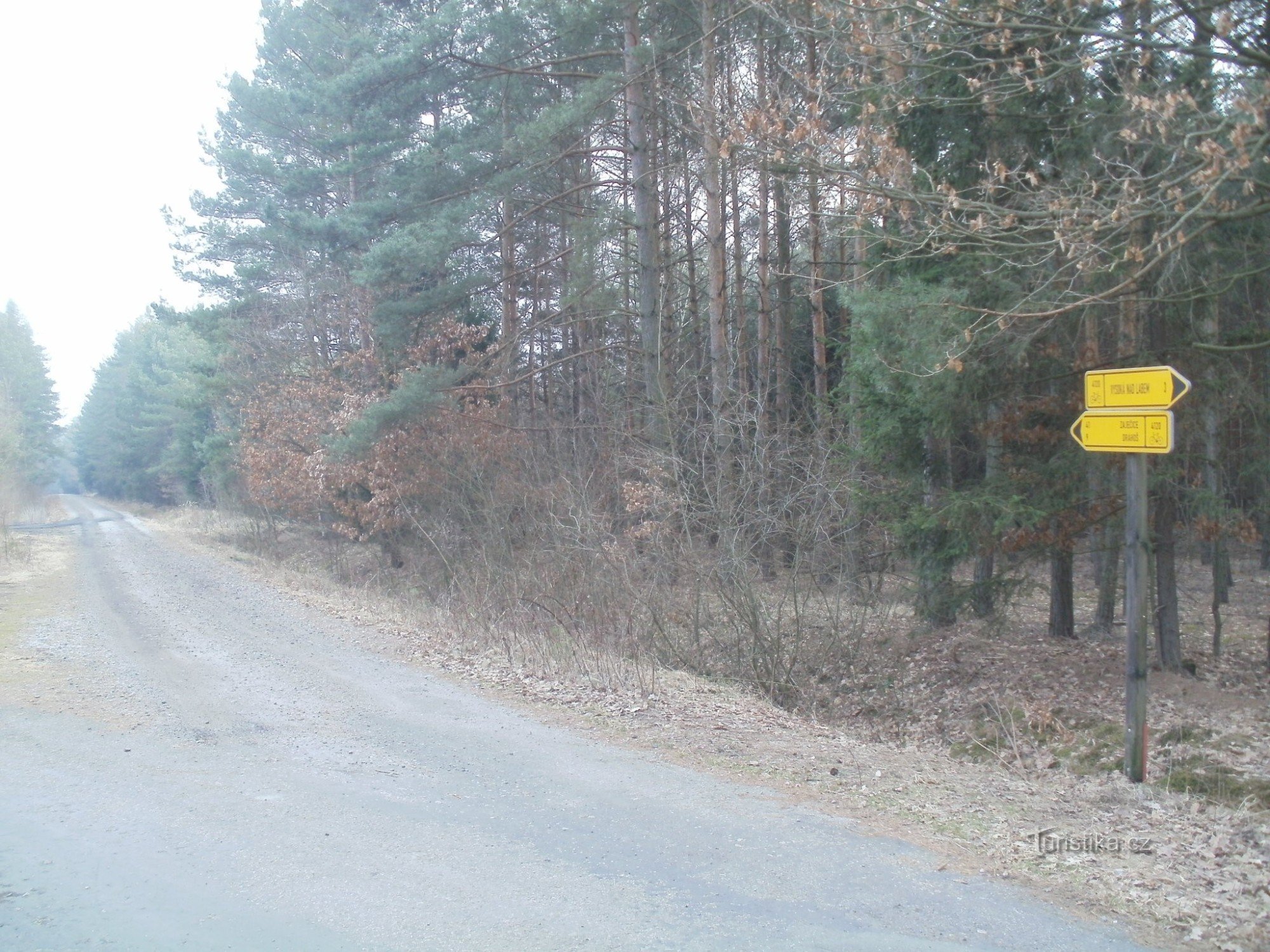 răscruce de drumuri cu bicicleta în pădurea Vysoké nad Labem