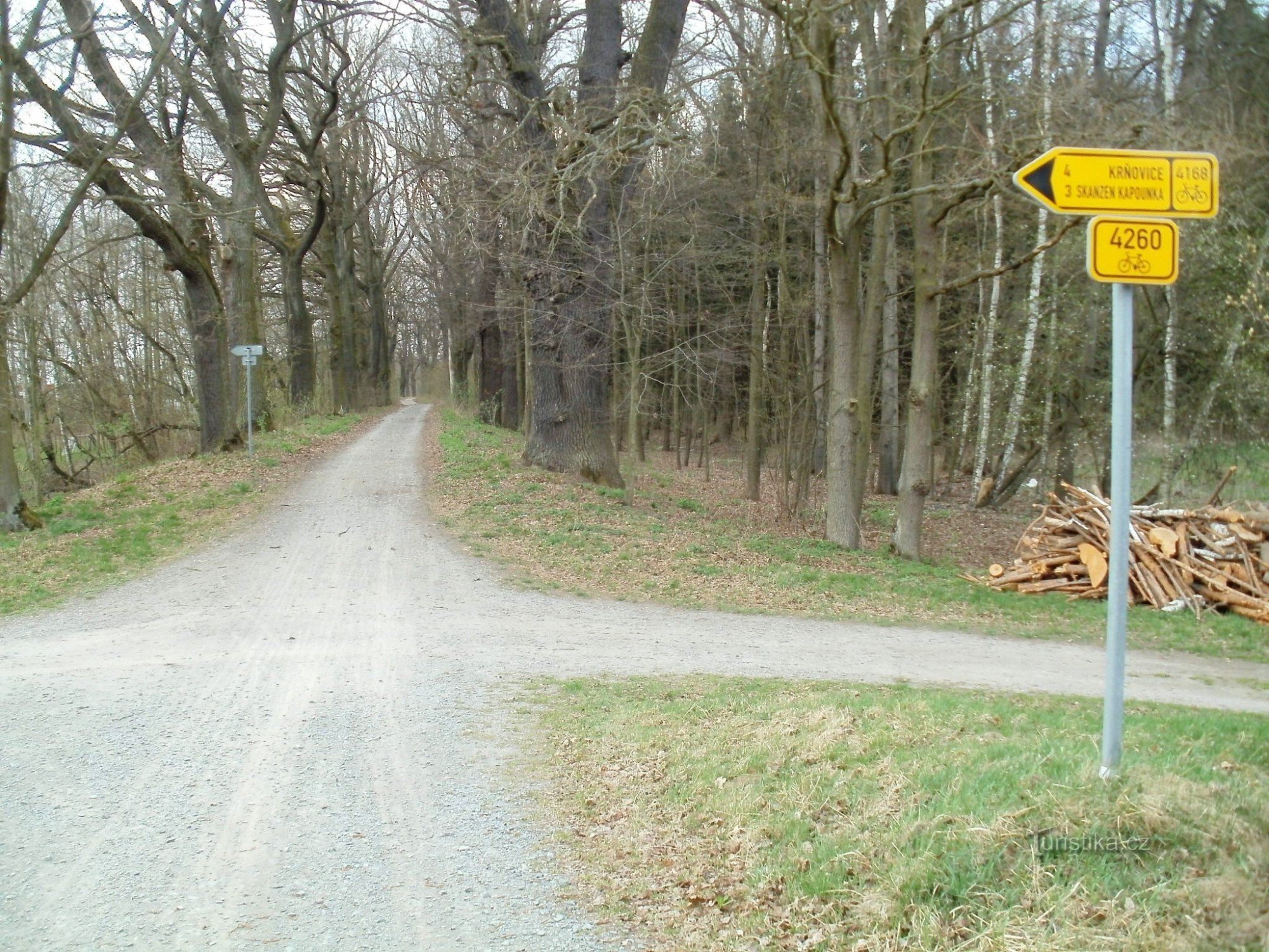 自行车旅游路标 Třebechovice pod Oreb（靠近 Benzina）