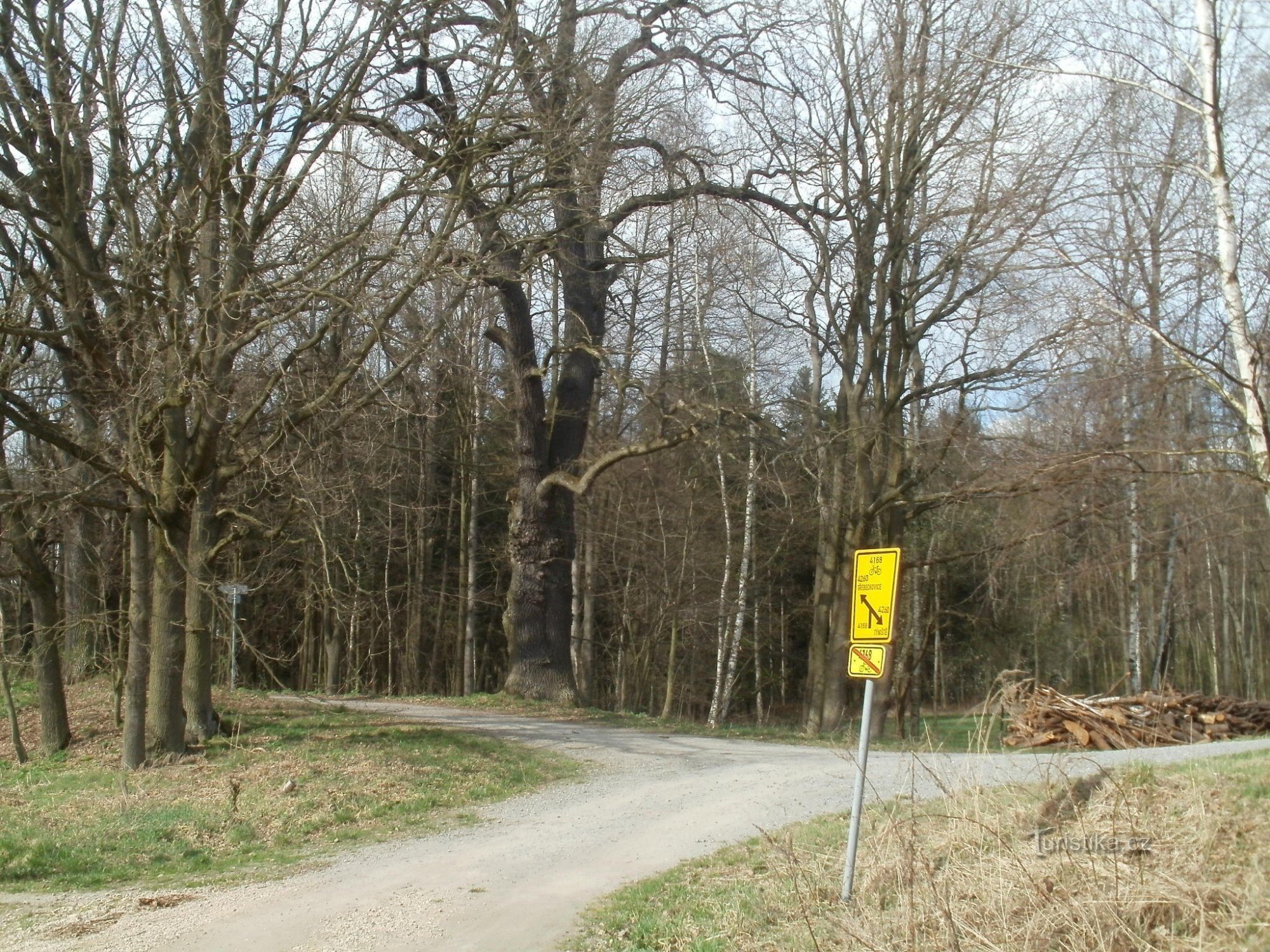 kolesarski turistični kažipot Třebechovice pod Oreb (pri Benzini)