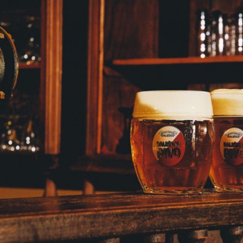 Dégustation de bière tchèque