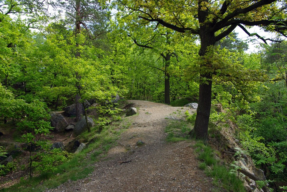 Bosquet du Diable