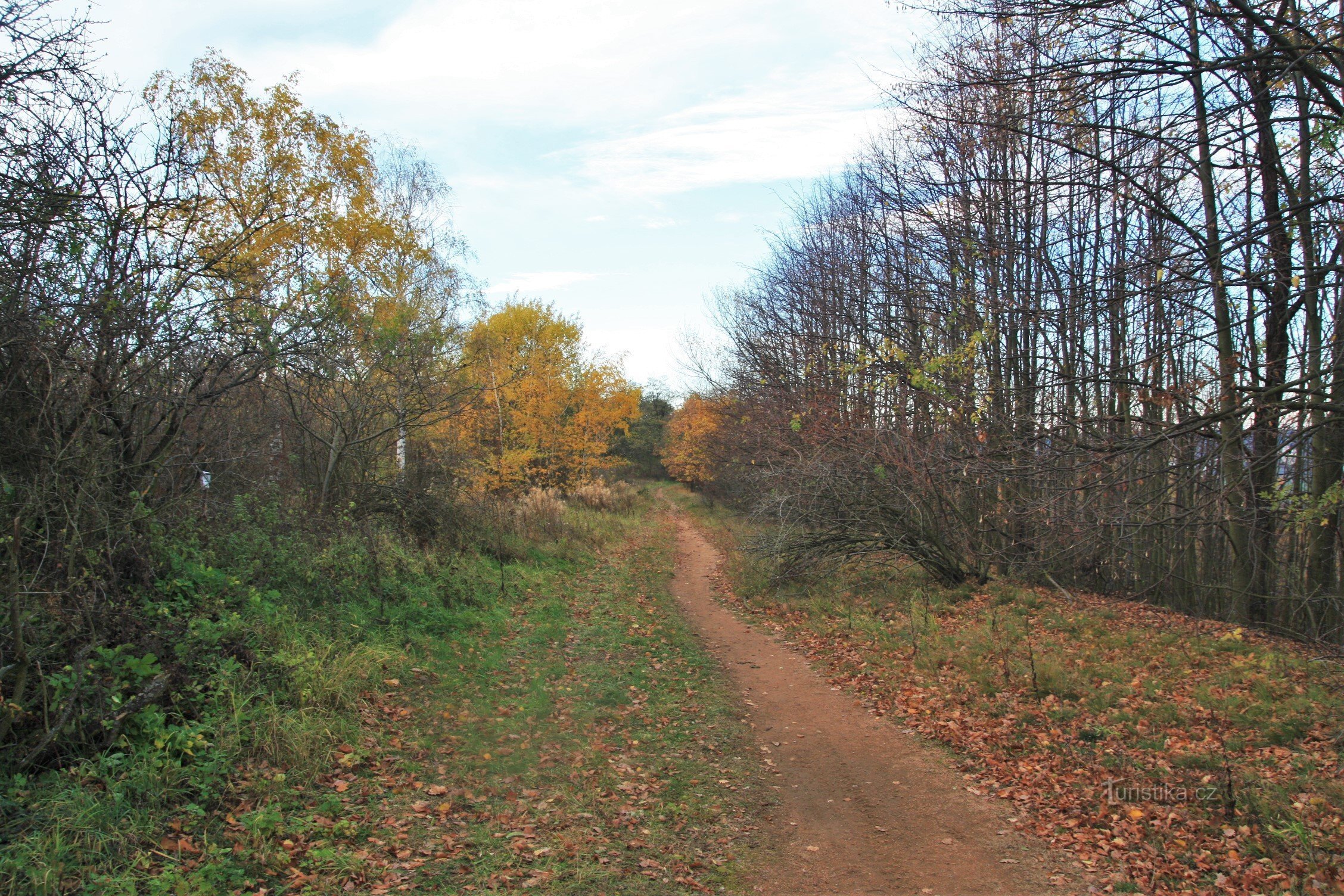 Highway body at the top of the embankment