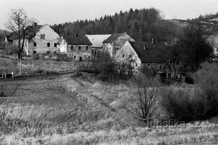 Damas : La partie centrale de la colonie de Damas. Cour de ferme au centre de la colonie, déjà aujourd'hui