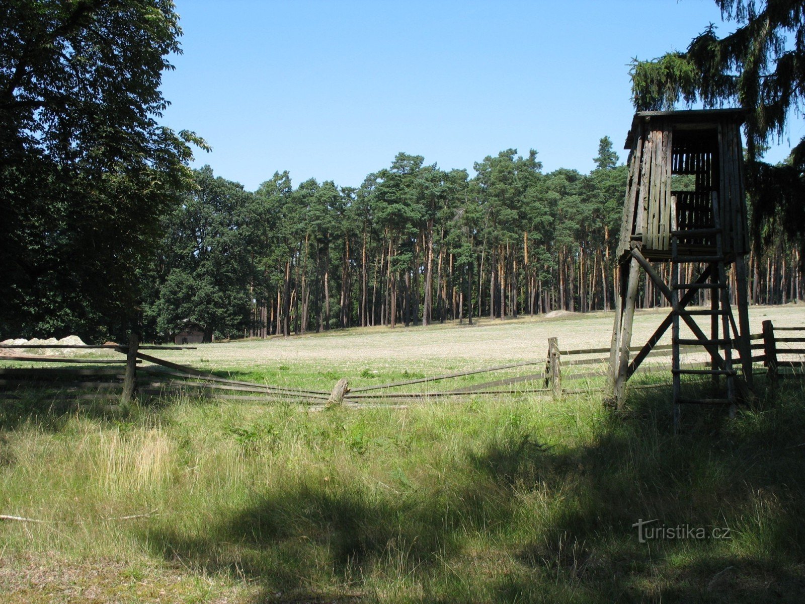 Gama dogów niemieckich