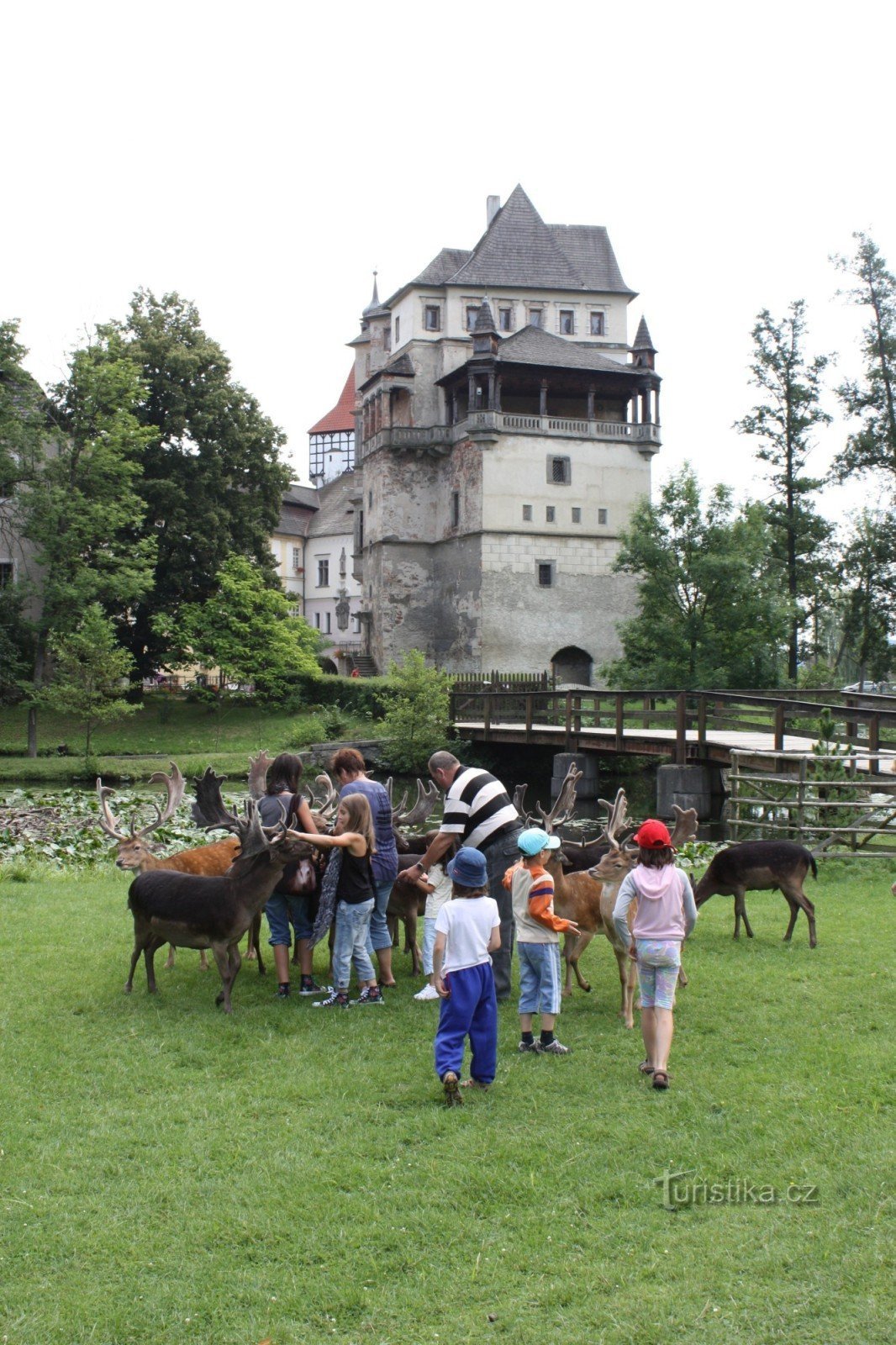 Cervi nel parco del castello di Blatná