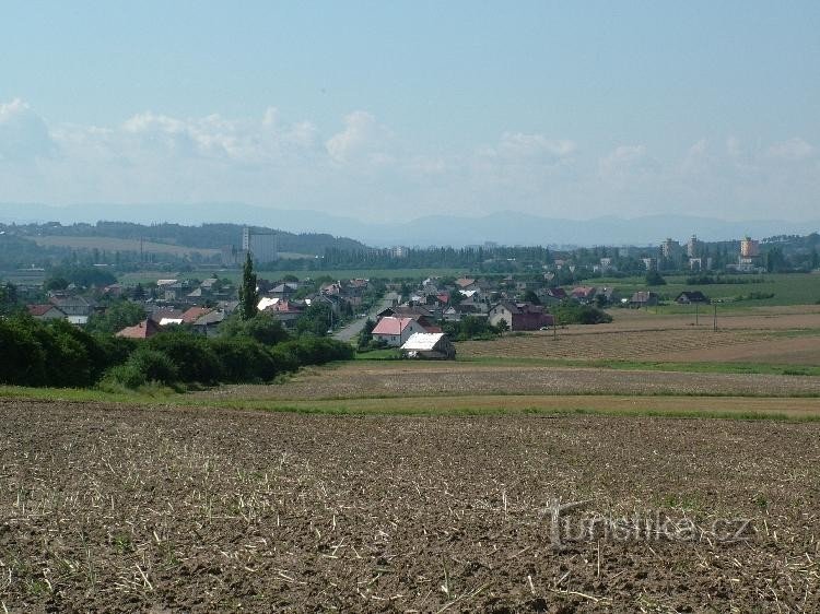 Дарковіцької